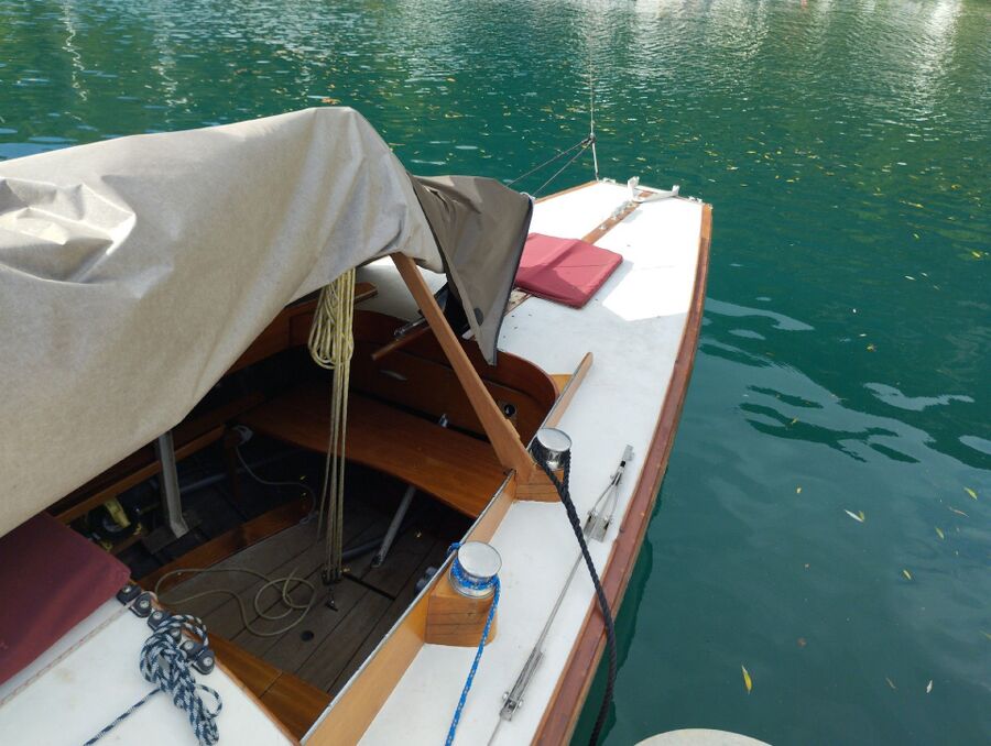 Bienen umsiedeln &  Bienennest entfernen 