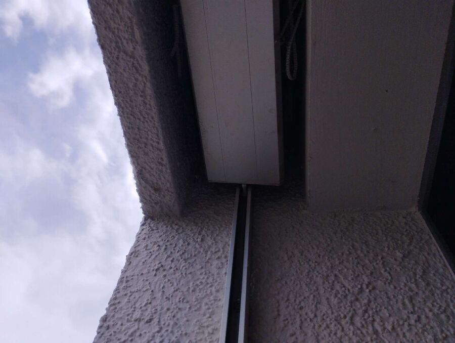 Bienen umsiedeln &  Bienennest entfernen 