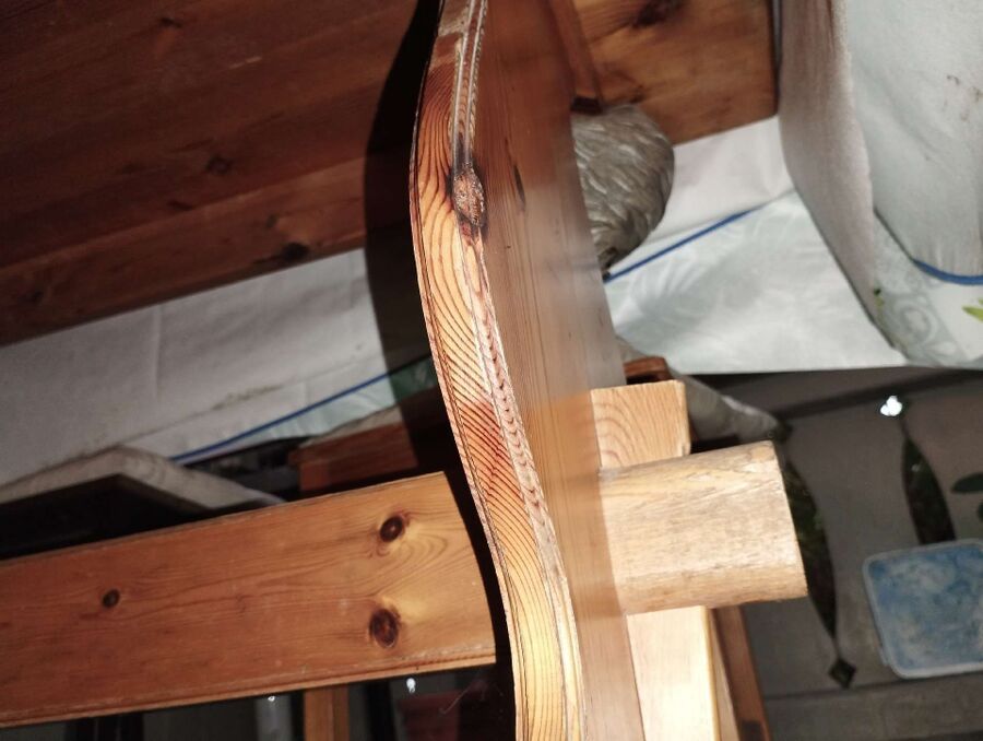  Bienennest entfernen