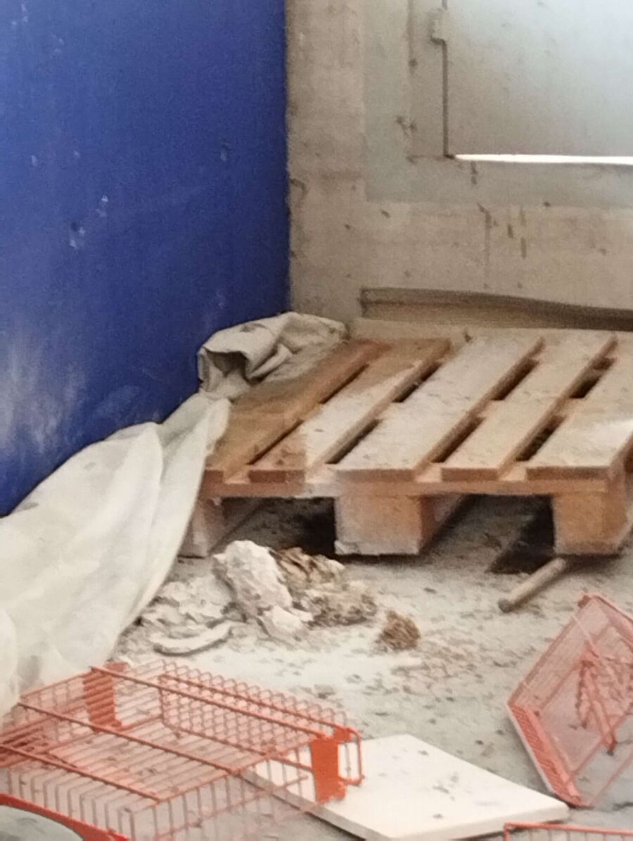  Bienennest entfernen