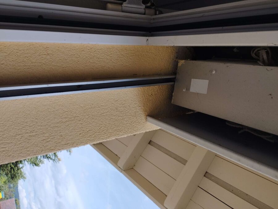 Bienen umsiedeln &  Bienennest entfernen 