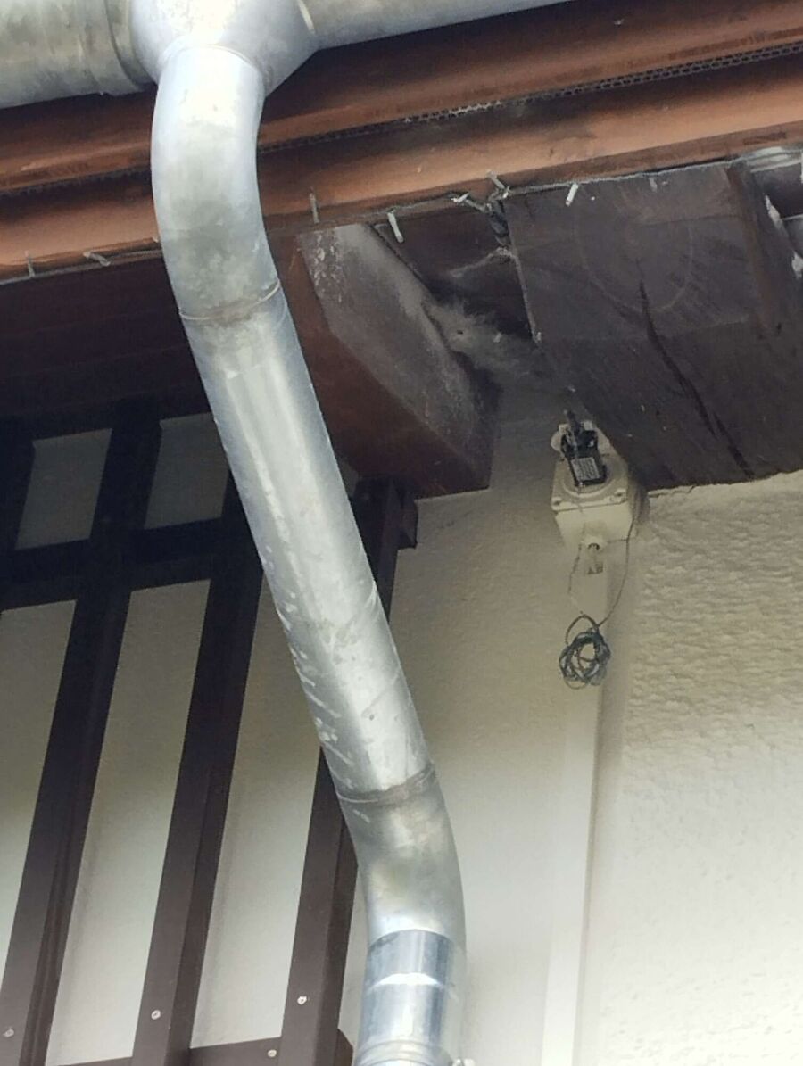  Bienennest entfernen