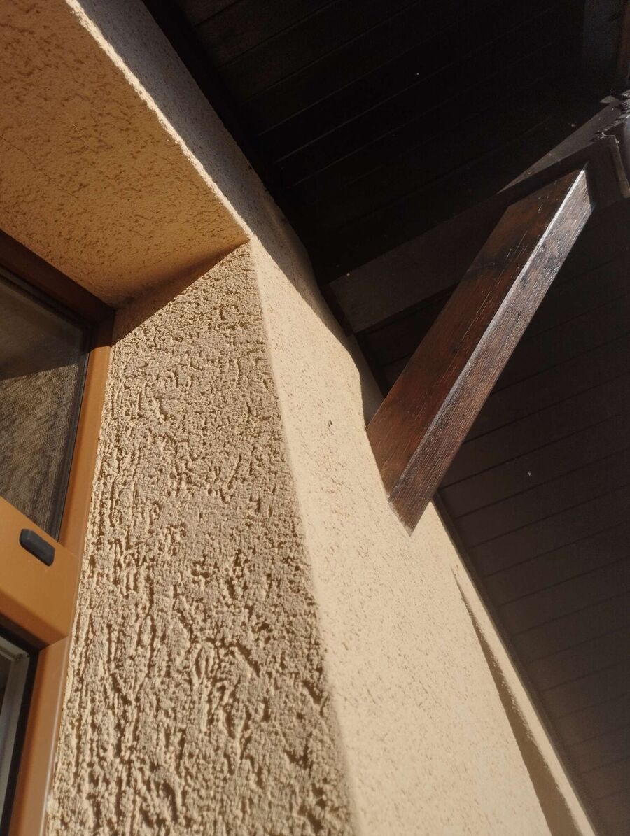 Bienen umsiedeln &  Bienennest entfernen 