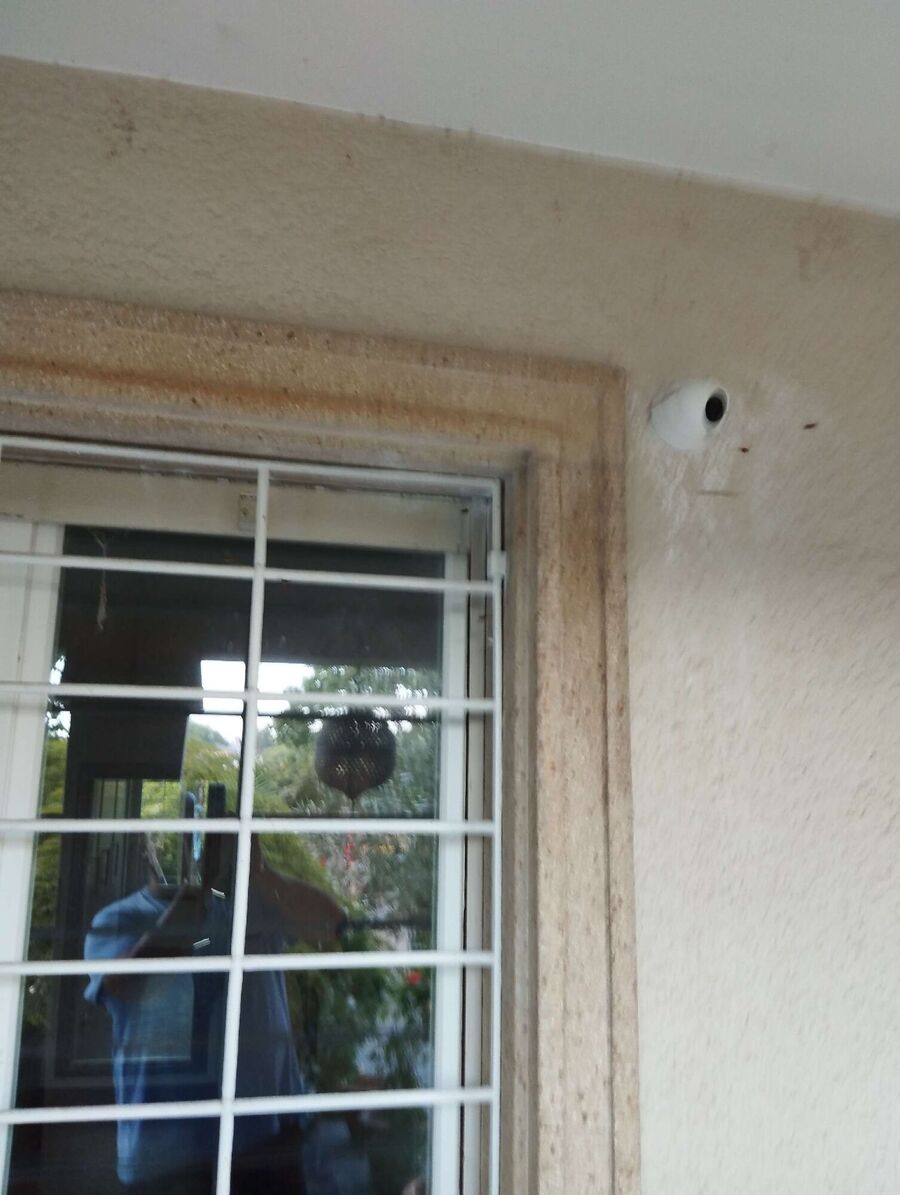  Bienennest entfernen