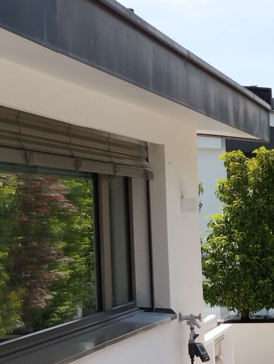 Bienen umsiedeln &  Bienennest entfernen 