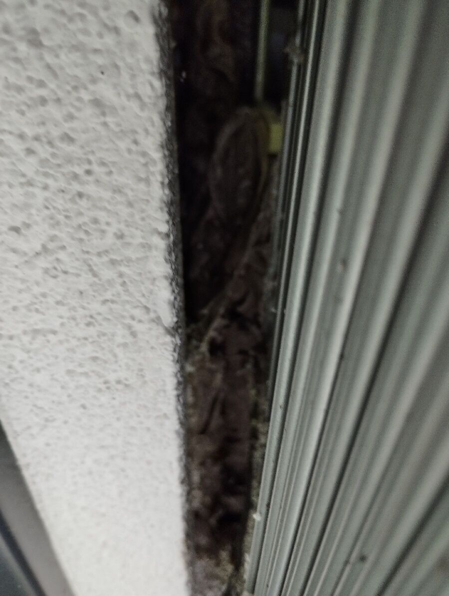  Bienennest entfernen.jpeg