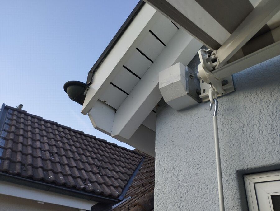 Bienen umsiedeln &  Bienennest entfernen 