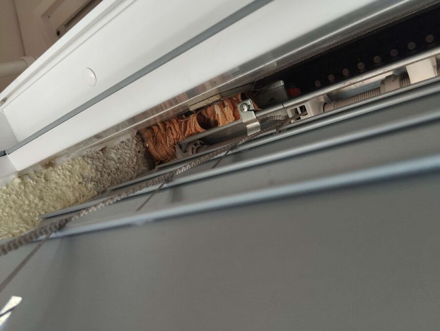  Bienennest entfernen.jpeg