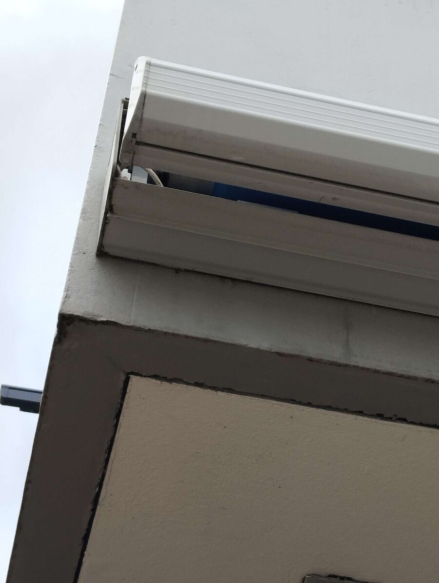  Bienennest entfernen.jpeg