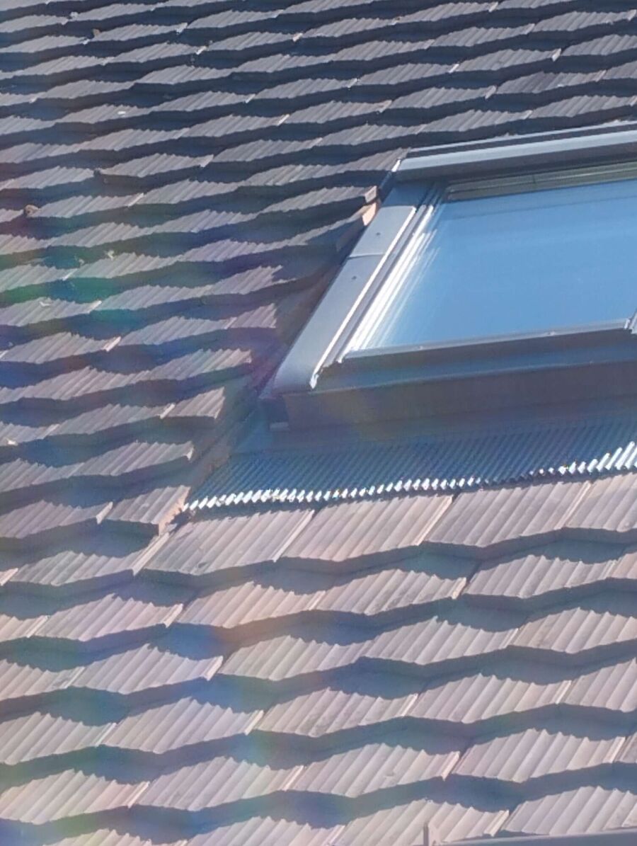  Bienennest entfernen