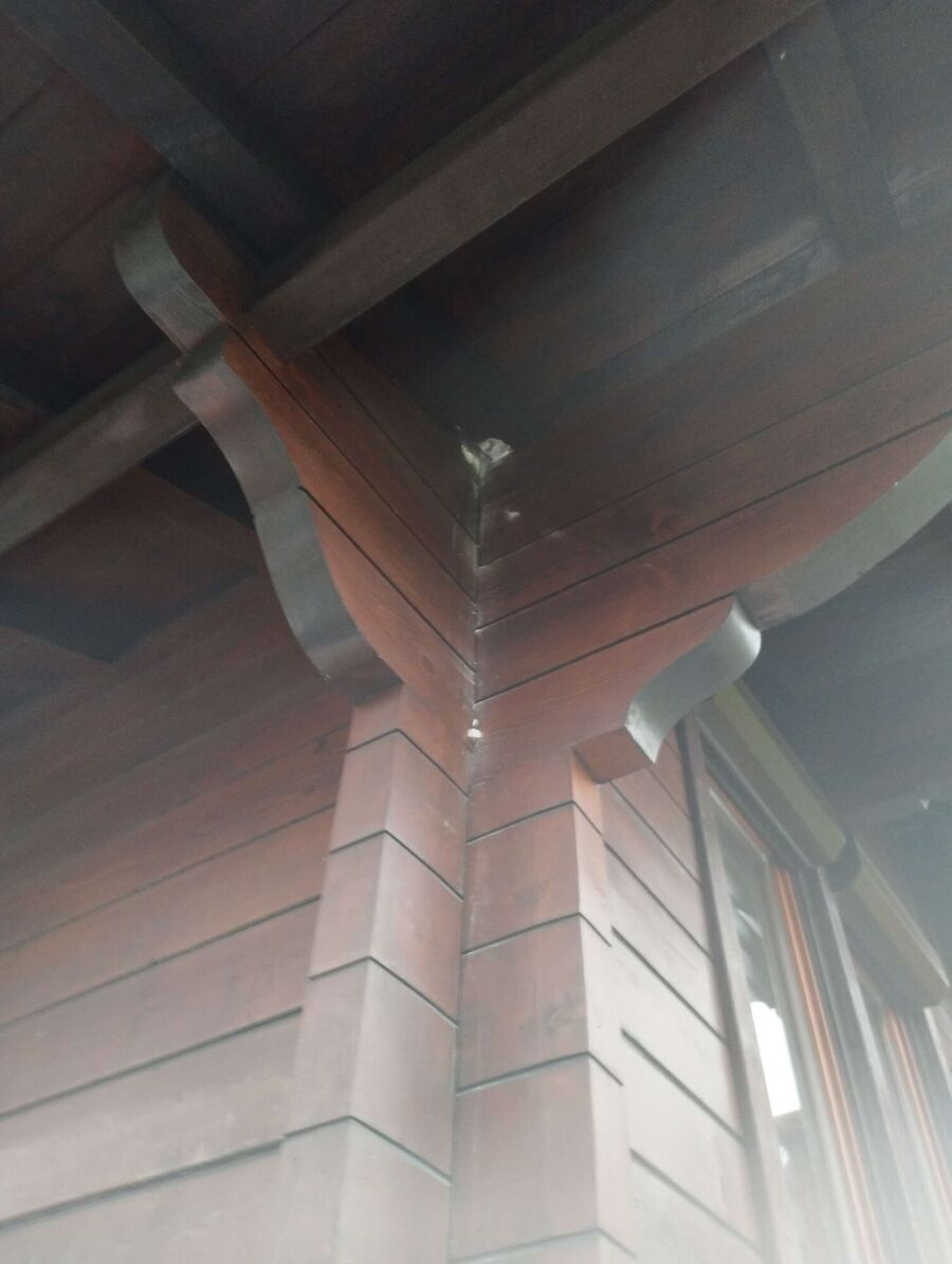  Bienennest entfernen.jpeg