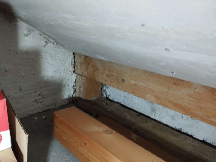  Bienennest entfernen