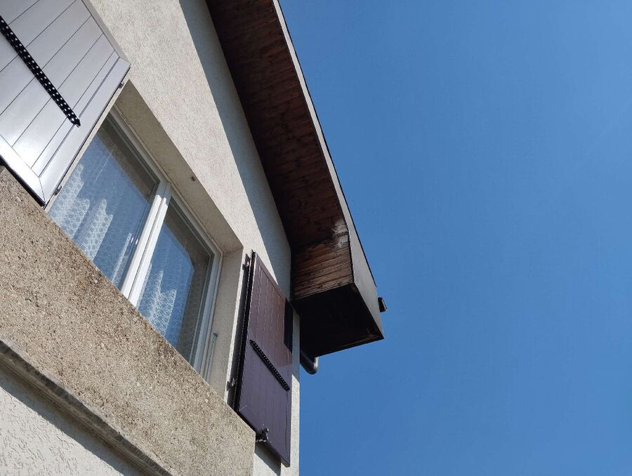  Bienennest entfernen