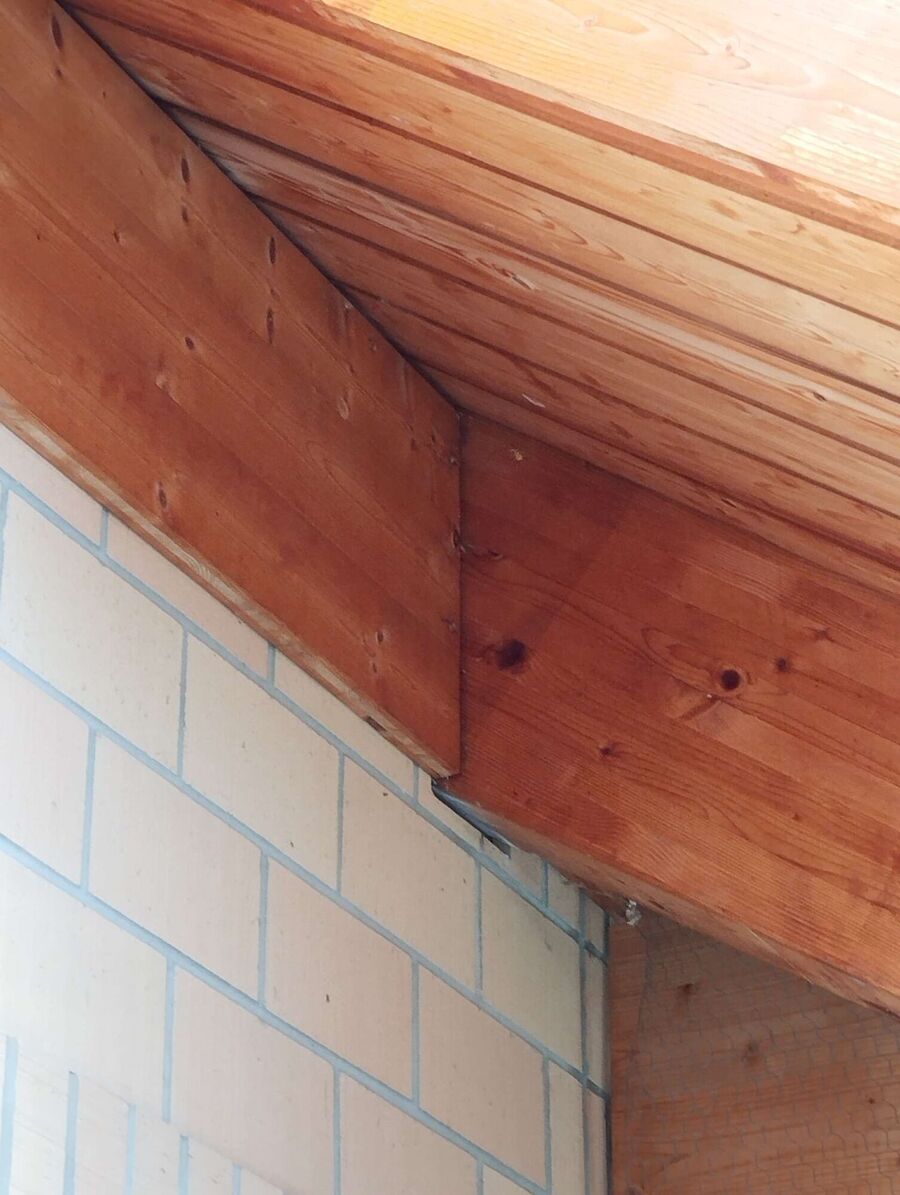  Bienennest entfernen