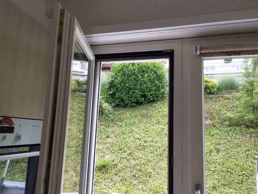  Bienennest entfernen.jpeg