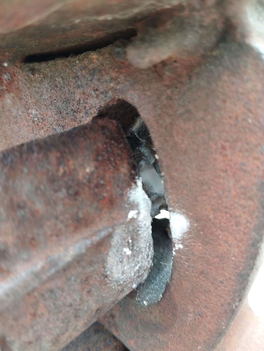 Bienen umsiedeln &  Bienennest entfernen 