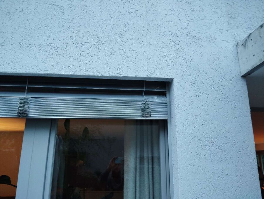  Bienennest entfernen