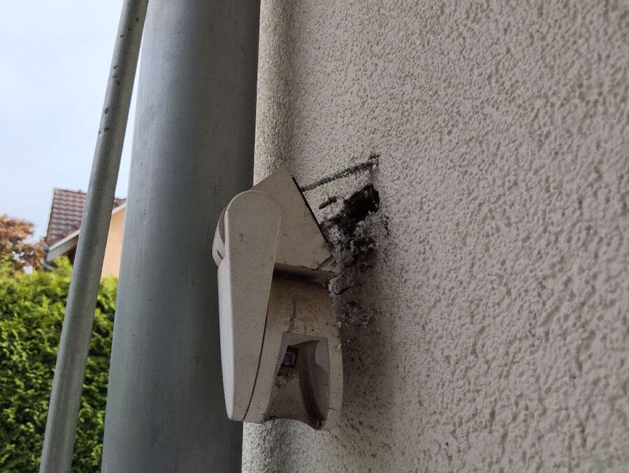 Bienen umsiedeln &  Bienennest entfernen 