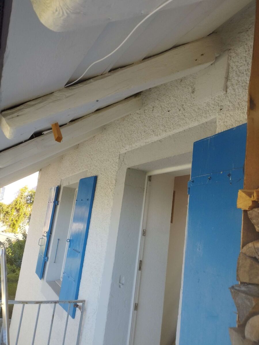  Bienennest entfernen