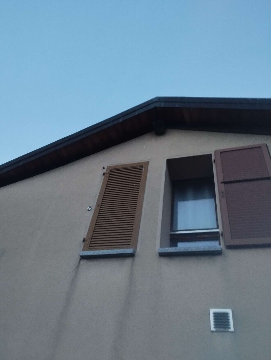 Bienen umsiedeln &  Bienennest entfernen 