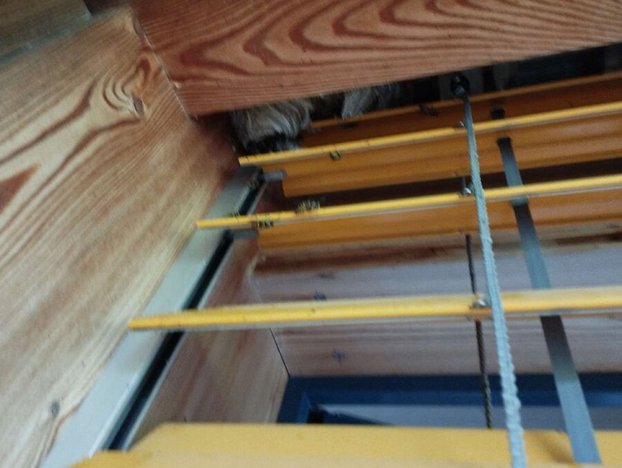  Bienennest entfernen