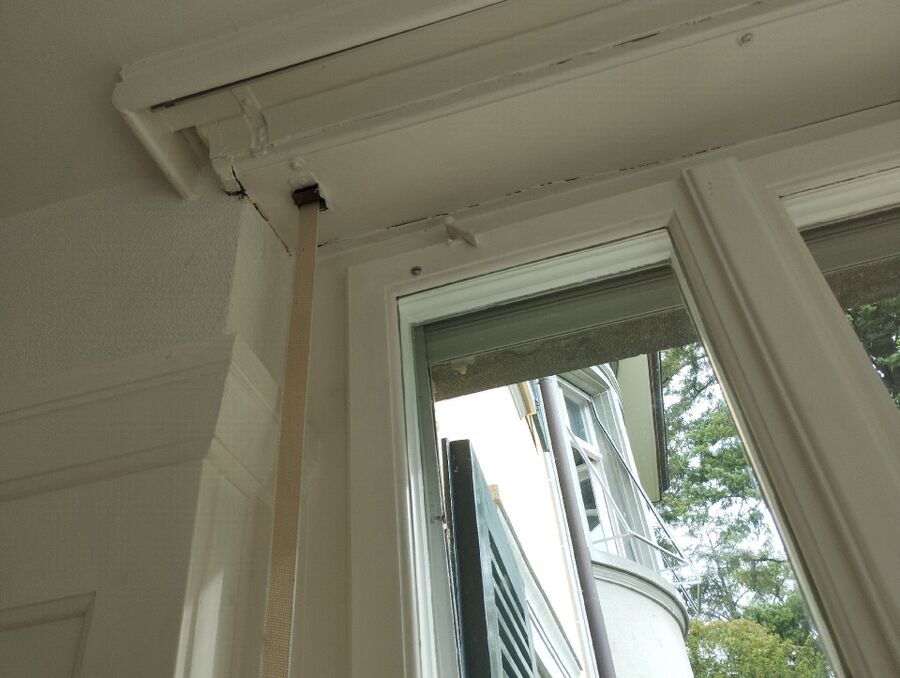  Bienennest entfernen