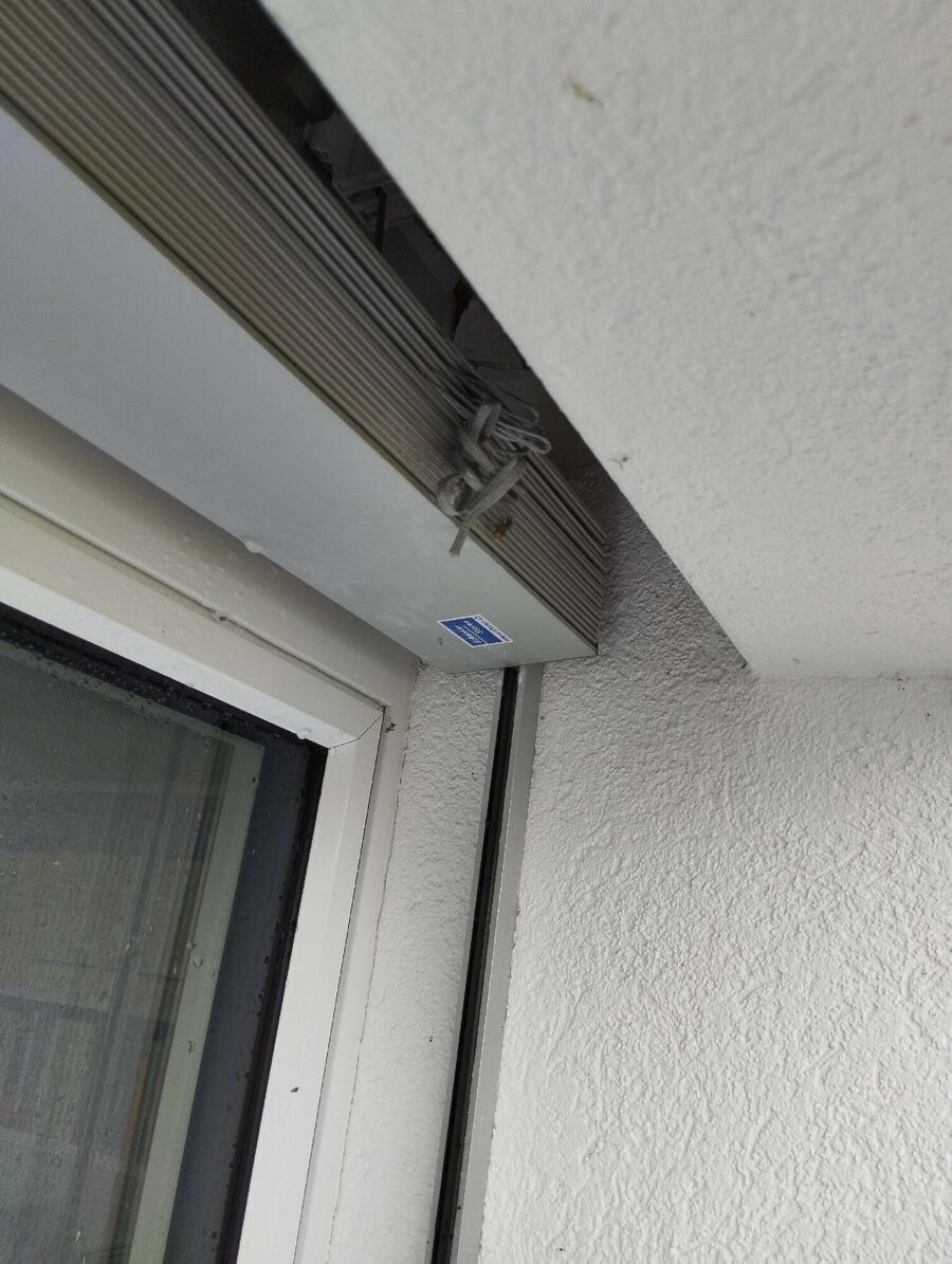 Bienen umsiedeln &  Bienennest entfernen 