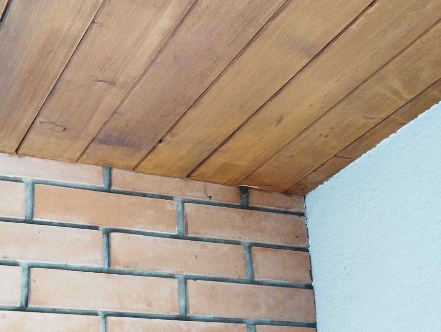 Bienen umsiedeln &  Bienennest entfernen 