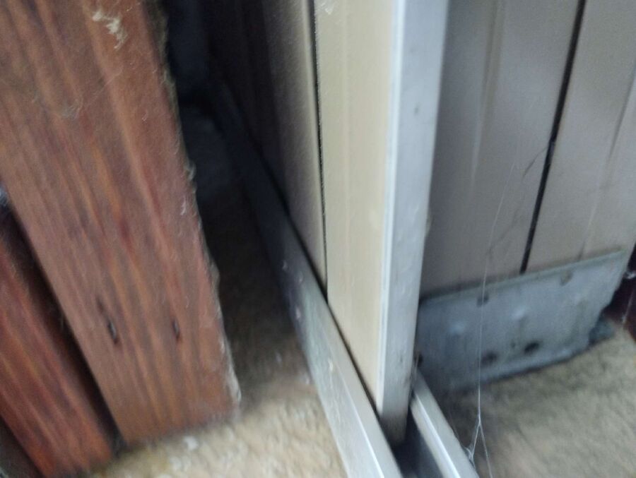  Bienennest entfernen.jpeg