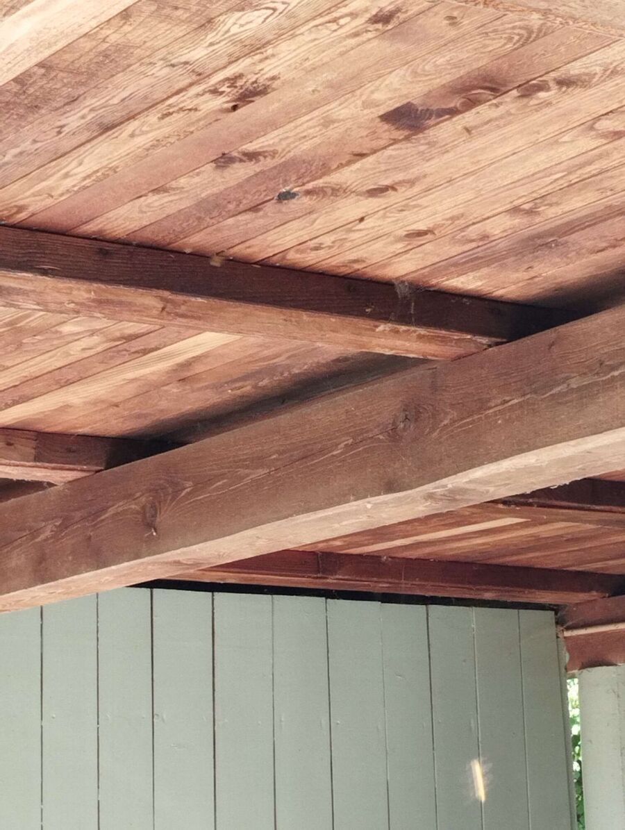  Bienennest entfernen