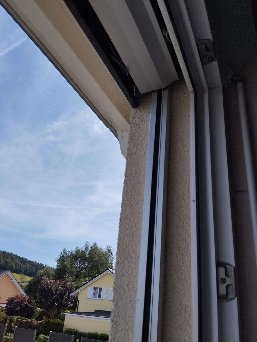  Bienennest entfernen