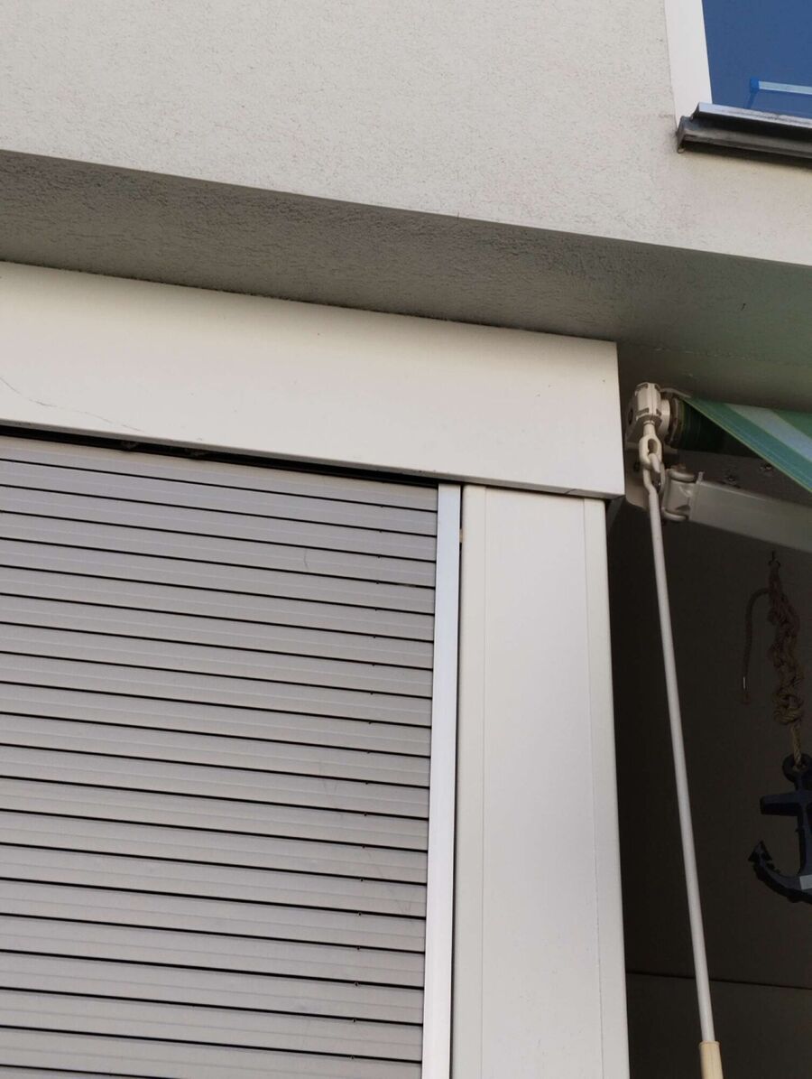  Bienennest entfernen