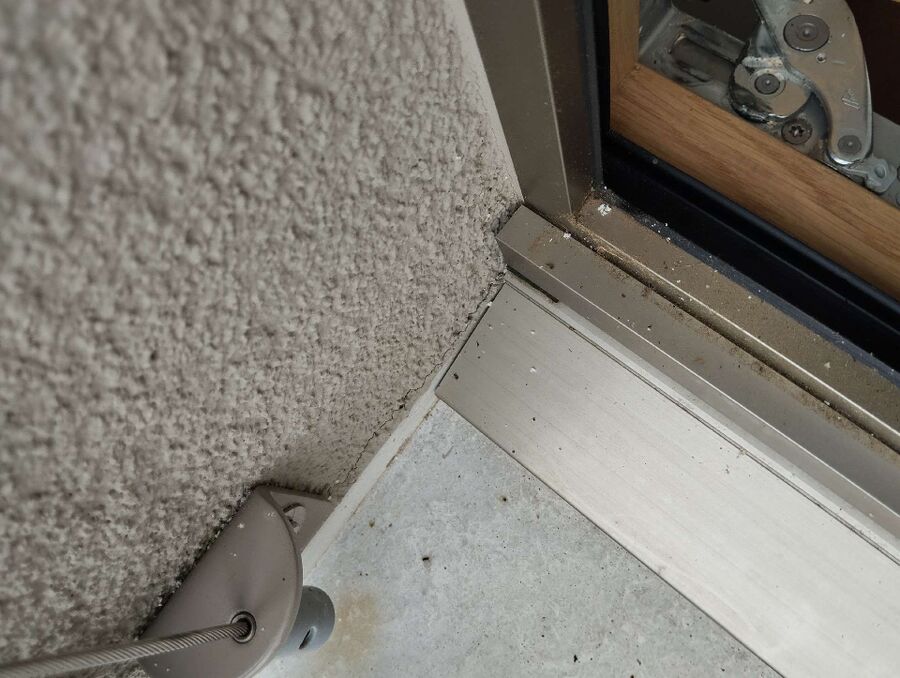 Bienen umsiedeln &  Bienennest entfernen 