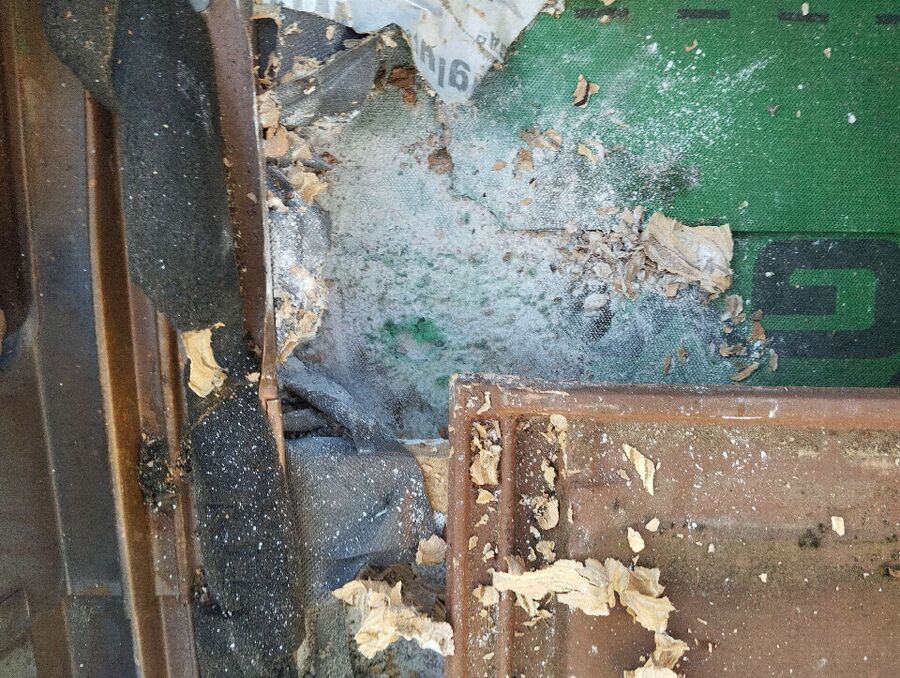  Bienennest entfernen