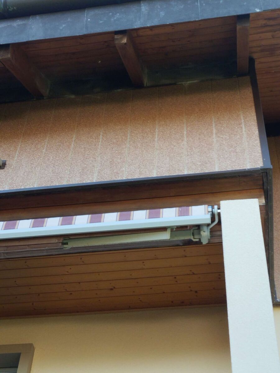 Bienen umsiedeln &  Bienennest entfernen 