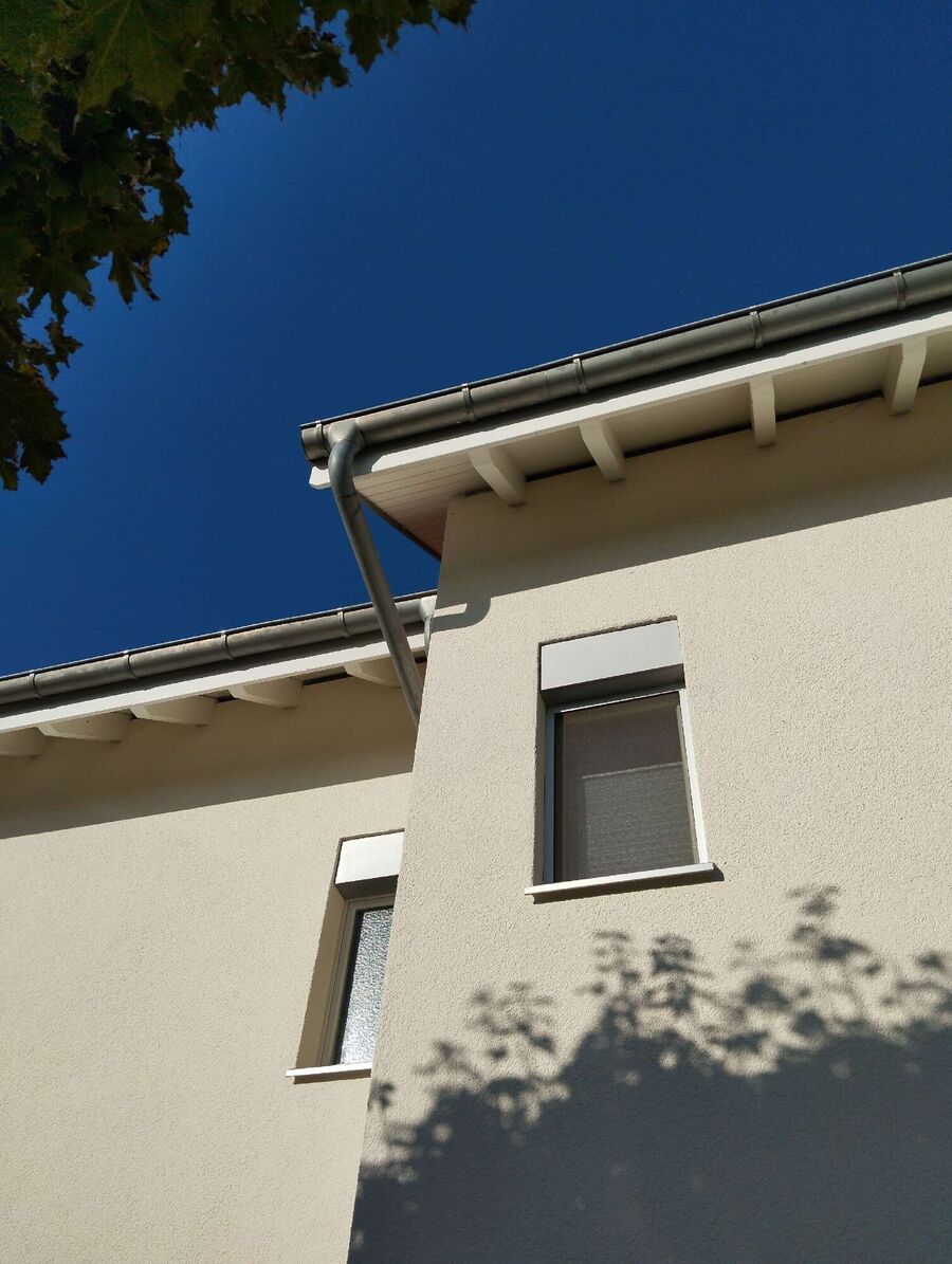 Bienen umsiedeln &  Bienennest entfernen 