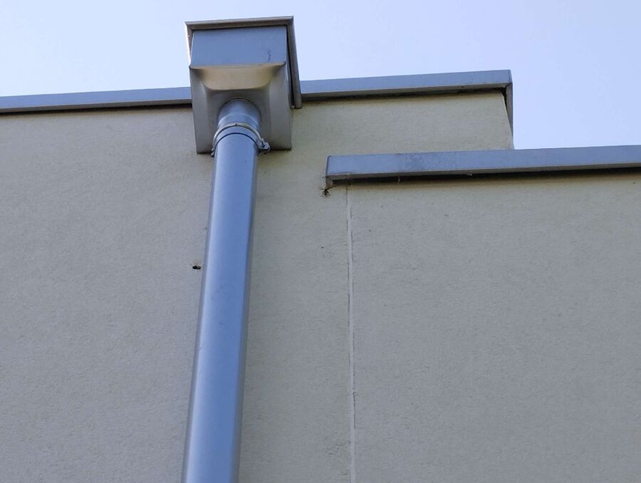 Bienen umsiedeln &  Bienennest entfernen 