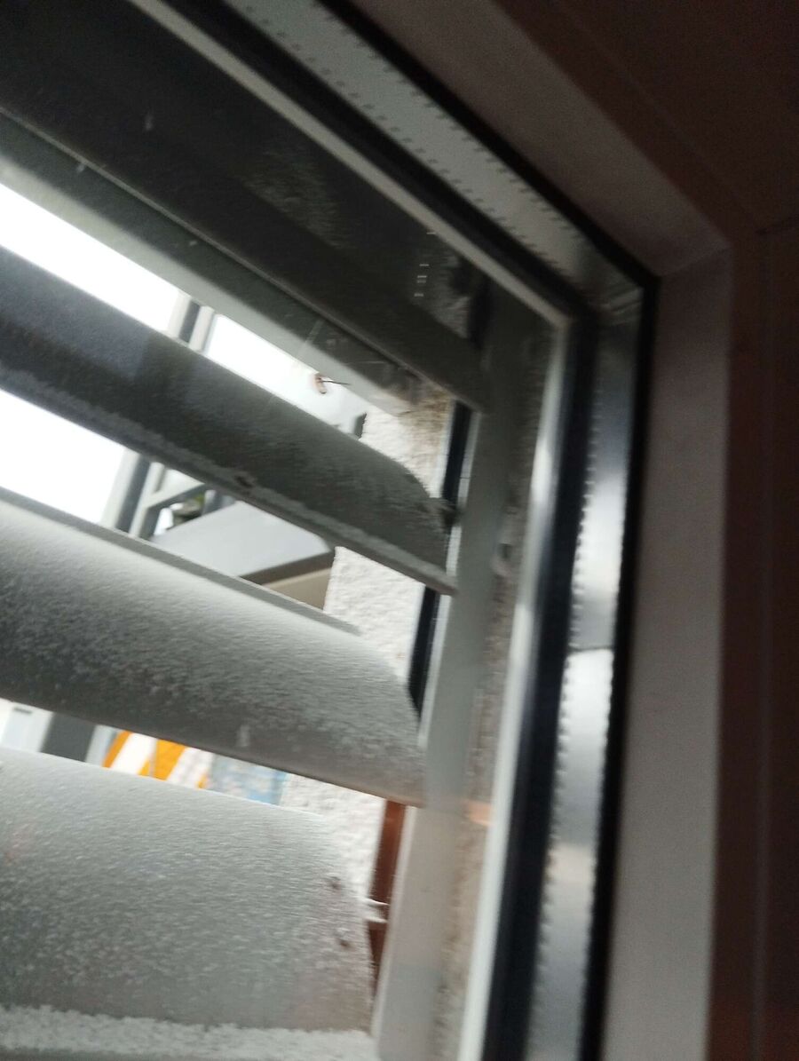  Bienennest entfernen.jpeg