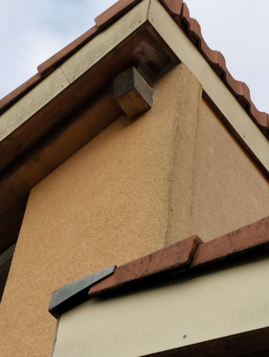  Bienennest entfernen