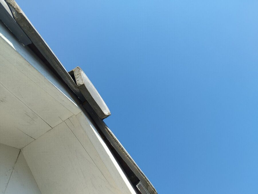 Bienen umsiedeln &  Bienennest entfernen 