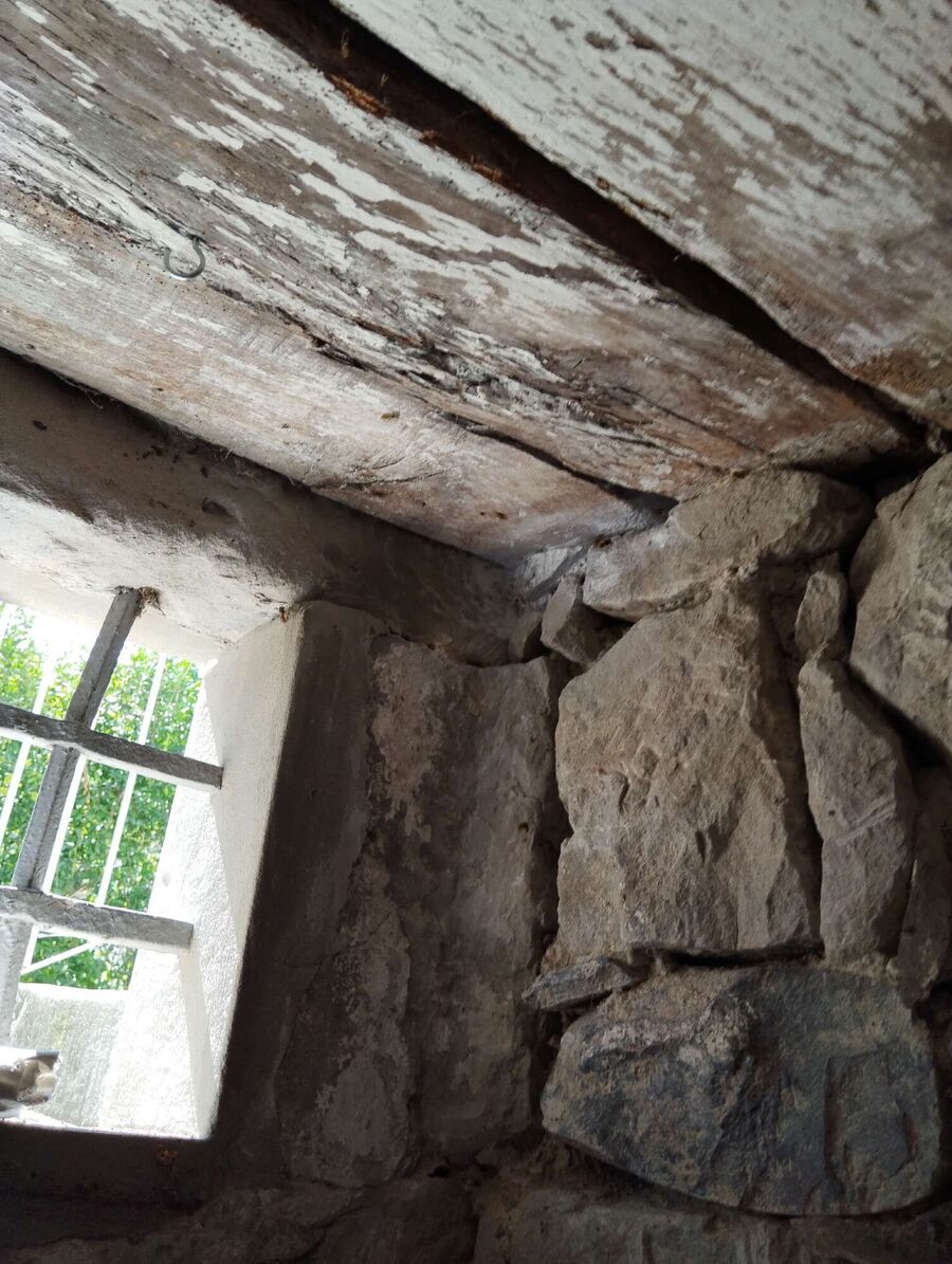  Bienennest entfernen.jpeg