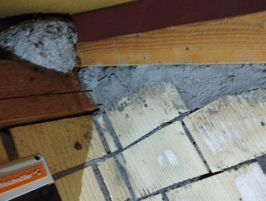 Bienen umsiedeln &  Bienennest entfernen 