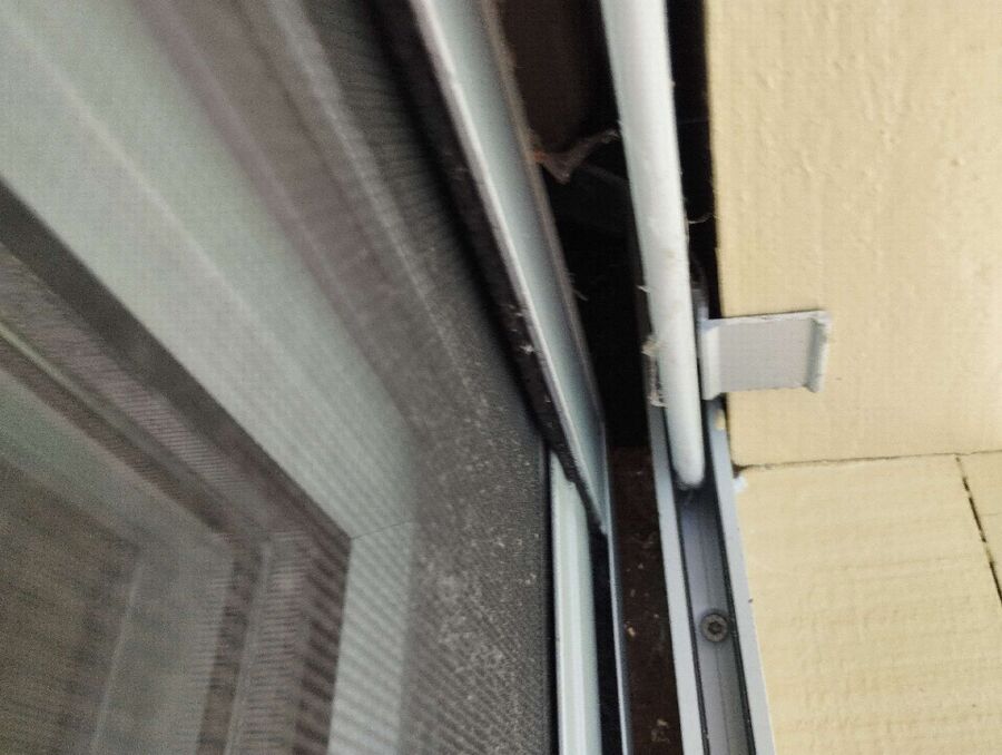  Bienennest entfernen