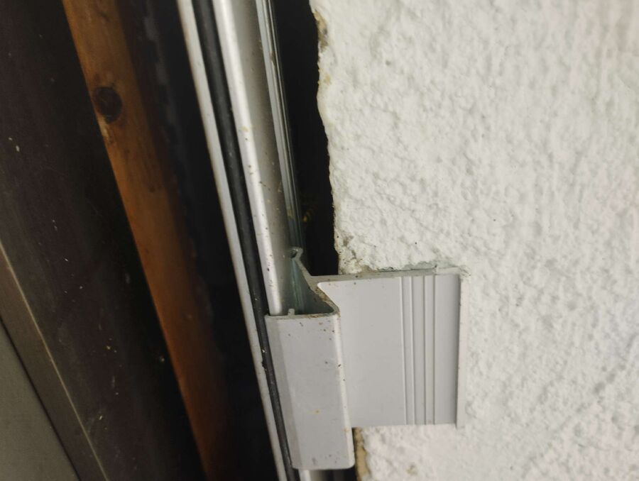  Bienennest entfernen.jpeg