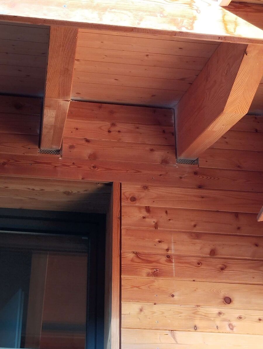  Bienennest entfernen