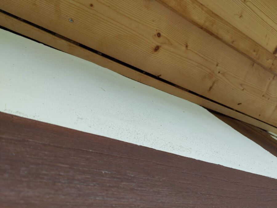  Bienennest entfernen.jpeg