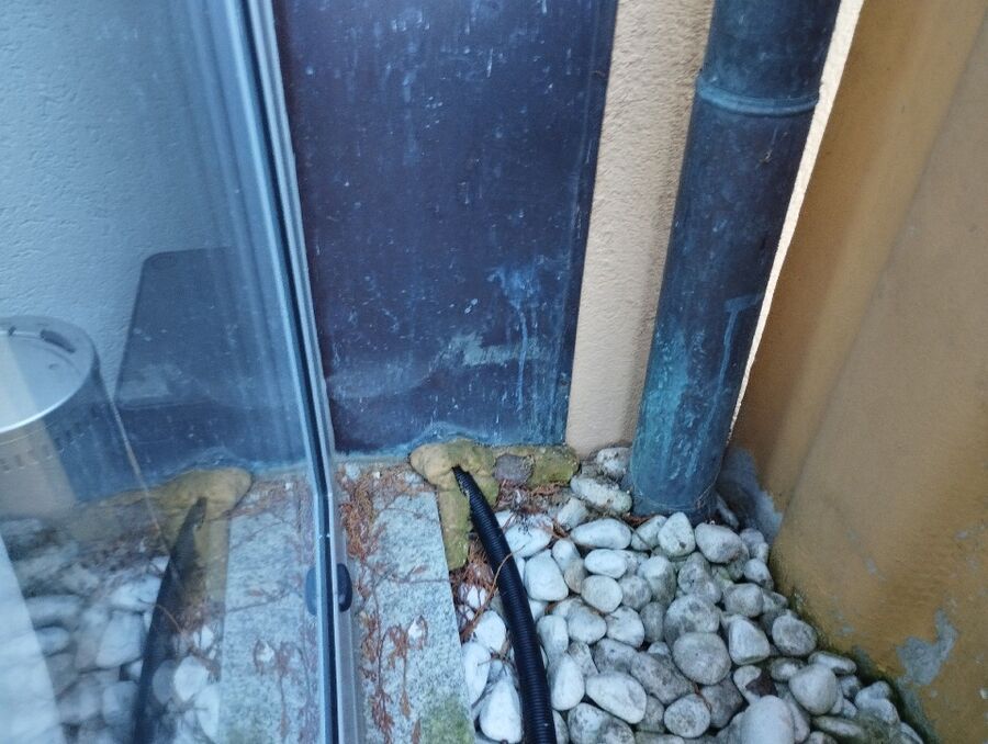  Bienennest entfernen