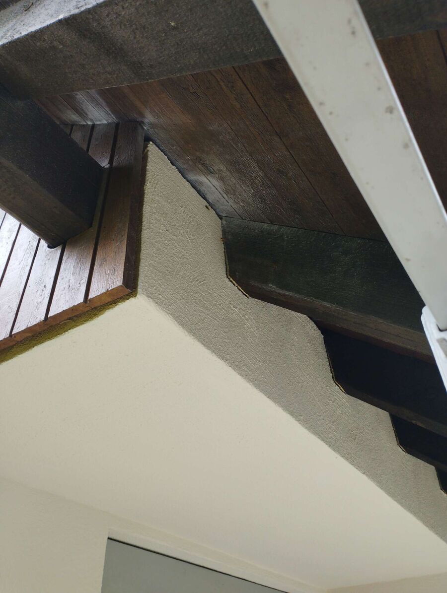 Bienen umsiedeln &  Bienennest entfernen 