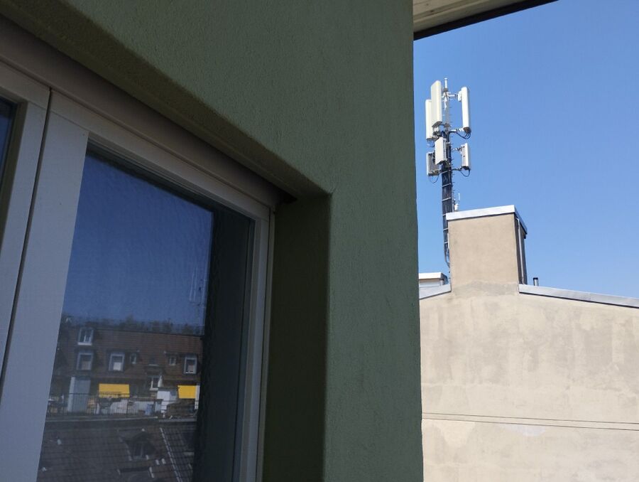  Bienennest entfernen.jpeg