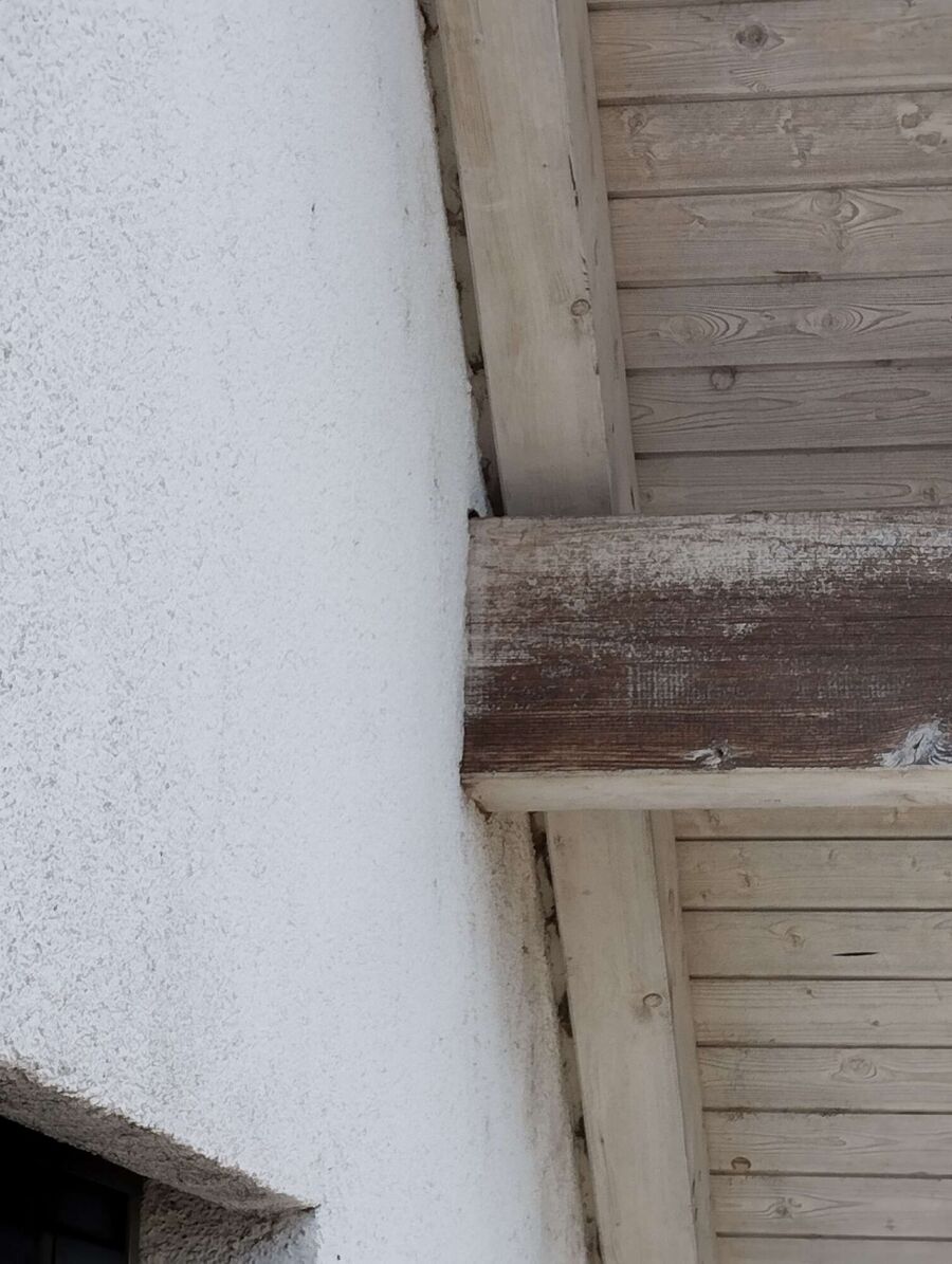 Bienen umsiedeln &  Bienennest entfernen 